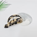 Oval Frame Medium Banana Clip 3.5 in – 1 Leopard Beige