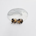 Cat Extra Mini Hair Claw Clips Set of 2 0.8 in – Tortoise Shell, Pastel