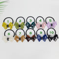 Pastel Color Bold Butterfly Ribbon Hair Tie (2.2 Inch) / Simple Cute Ponytail Holder / Hair Accessory for Woman / French Hair Tie